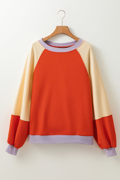 Color Block Round Neck Long Sleeve Sweatshirt